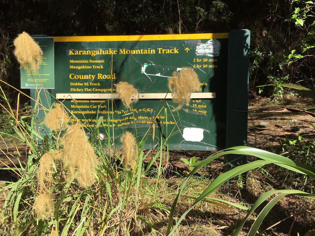 Karangahake Mountain Track Loop-Waikino必去景点