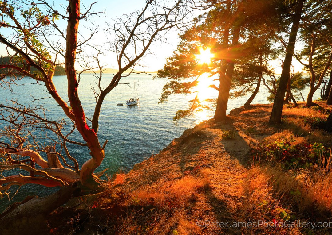 Peter James Photography Gallery-贝灵厄姆必去景点