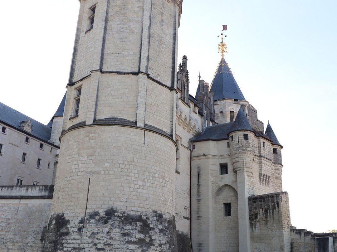 Chateau de Saumur景点图片