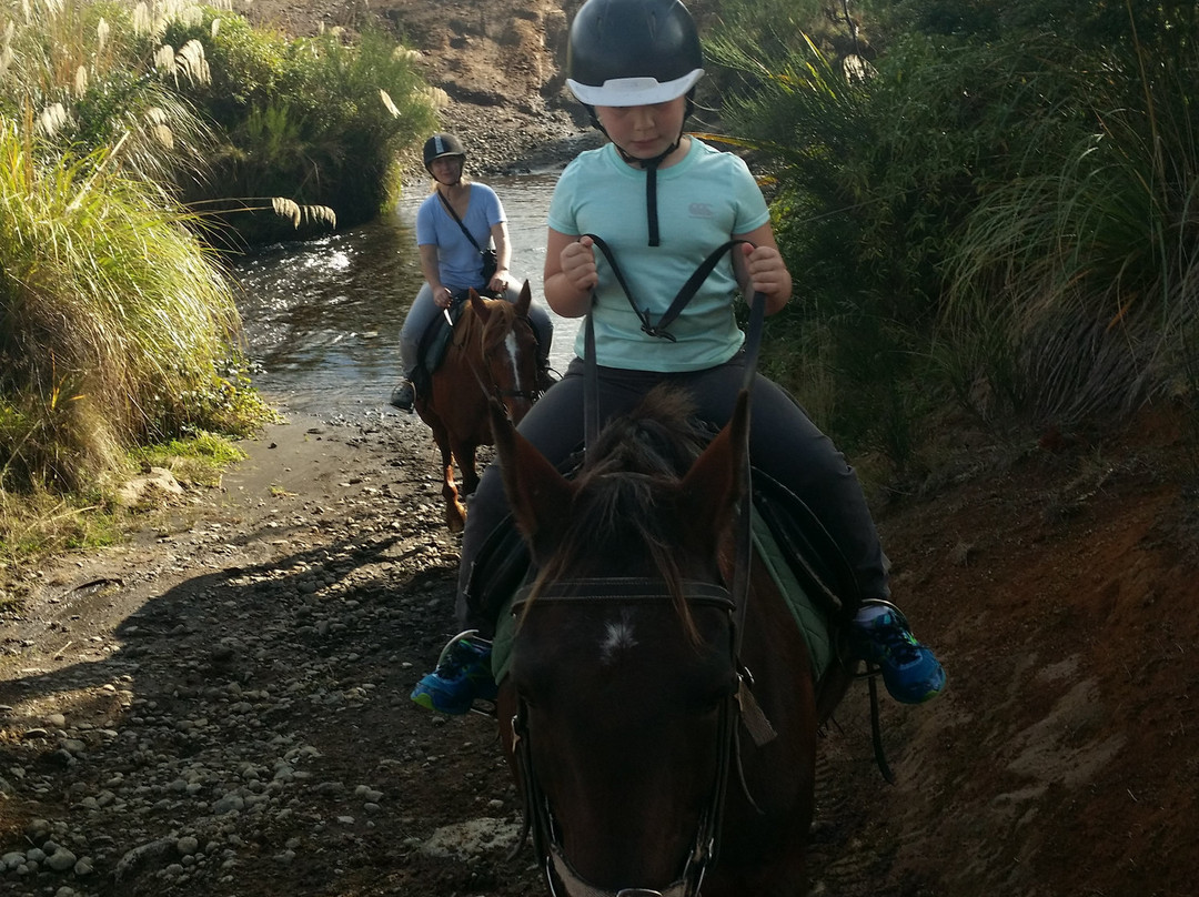 Ruapehu Homestead Horsetrekking景点图片