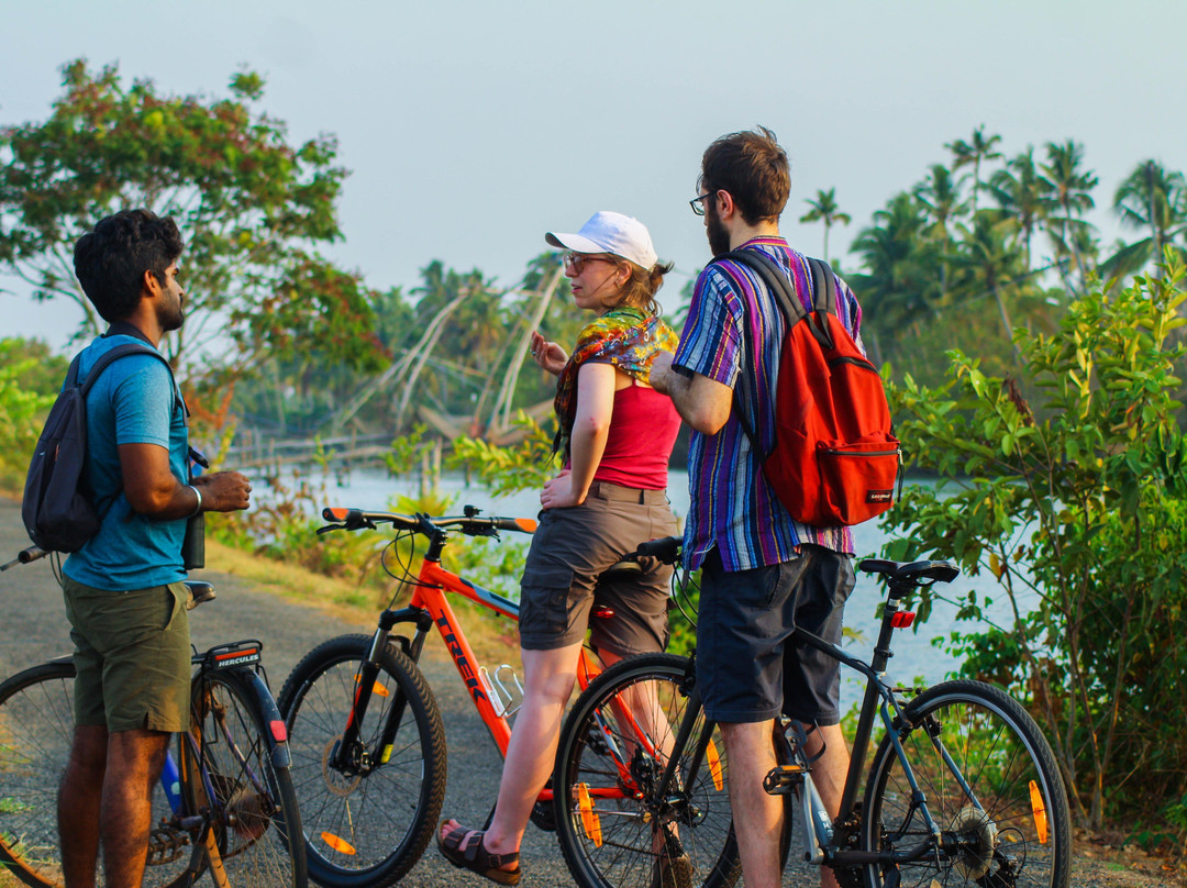 Godwit Adventures - Village Bike Tour & Birdwatching景点图片