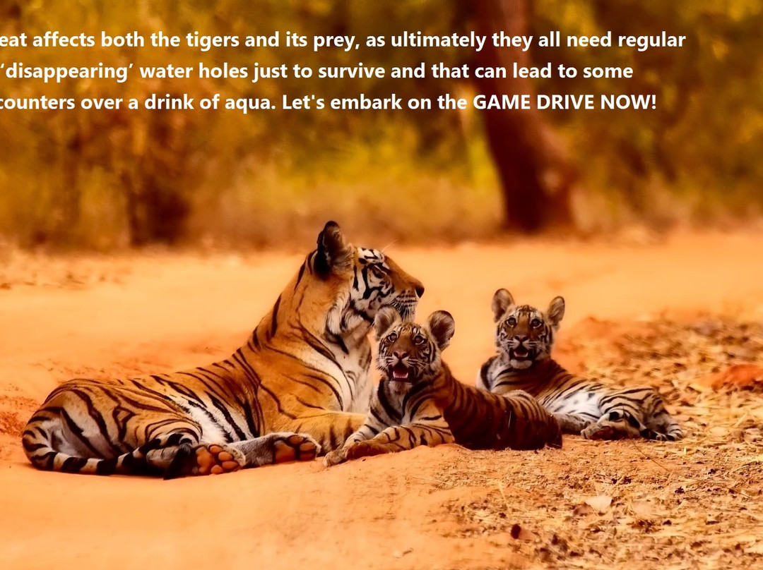 Abby & Scout Tours-斋蒲尔必去景点