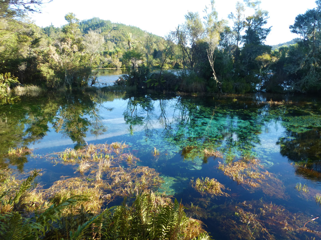 New Zealand I Drive-莫图伊卡必去景点
