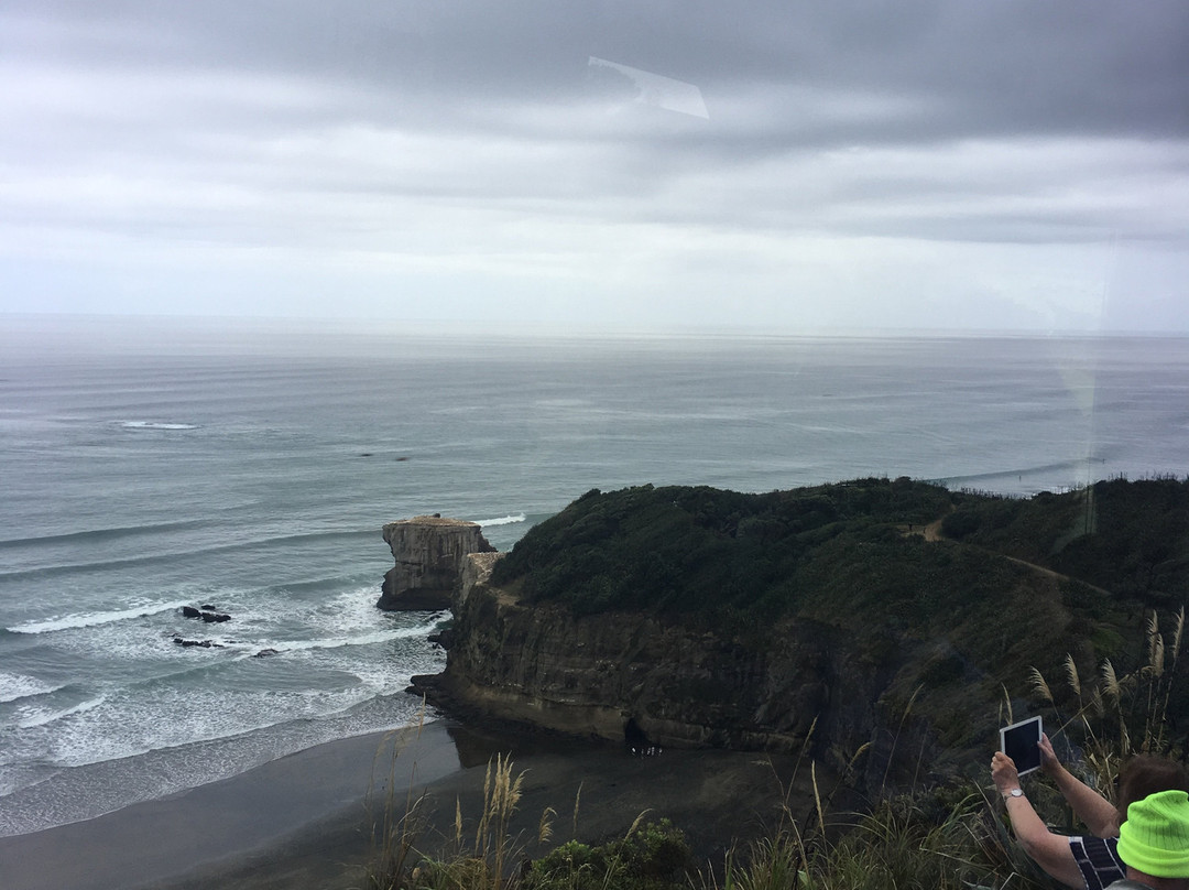 Muriwai Surf School景点图片