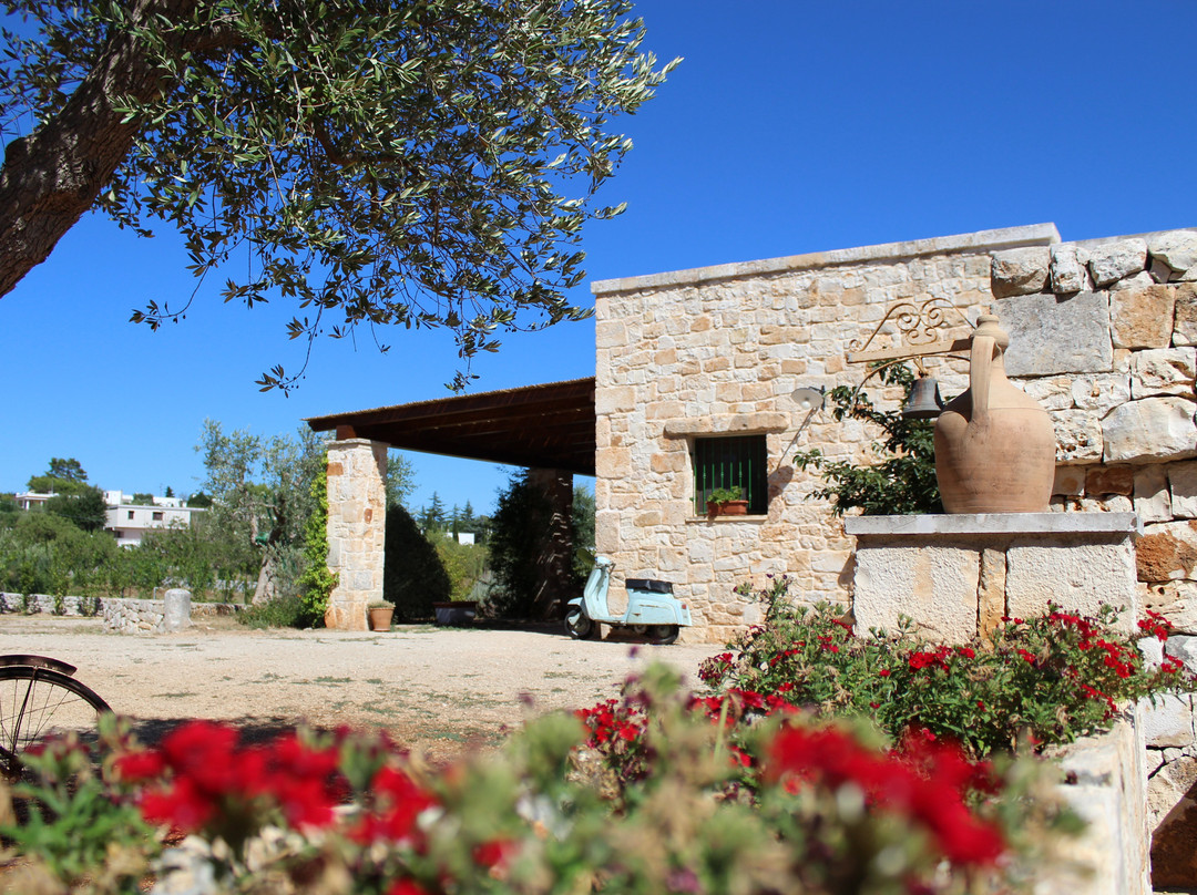 玛西丽雅托拉 B&B 酒店主图