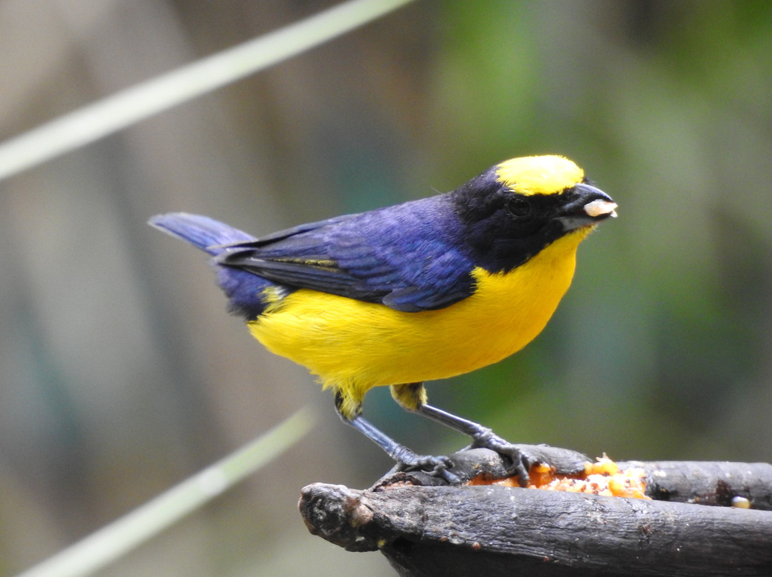 Posada del Mar Bahía Solano主图