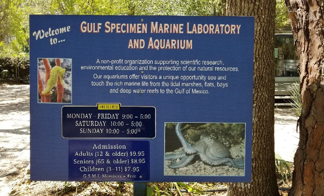 Gulf Specimen Marine Lab & Aquarium-Panacea必去景点