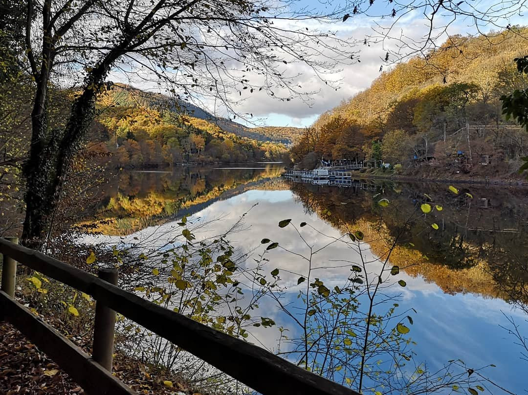 Haus Am Eichelberg主图