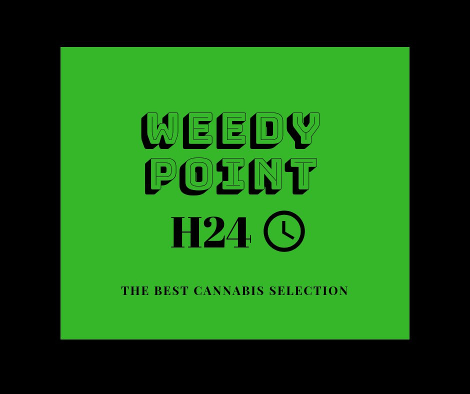 Weedy Point H24-圣贝内代托-德尔特龙托必去景点