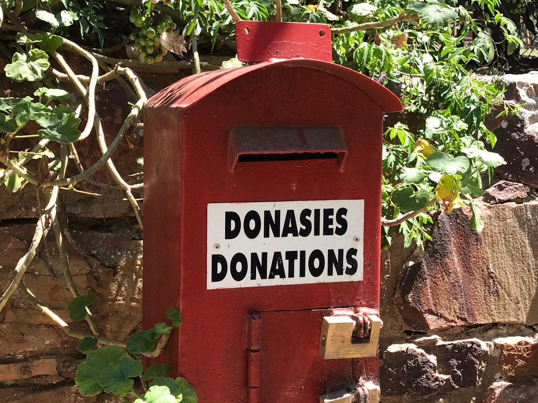 Harry Giddy Park-莫塞尔贝必去景点