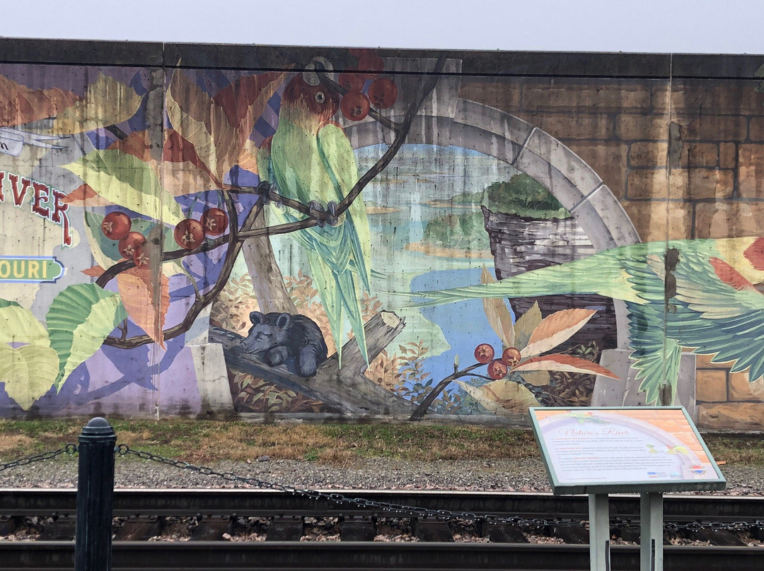 Missouri Wall of Fame-开普吉拉多必去景点