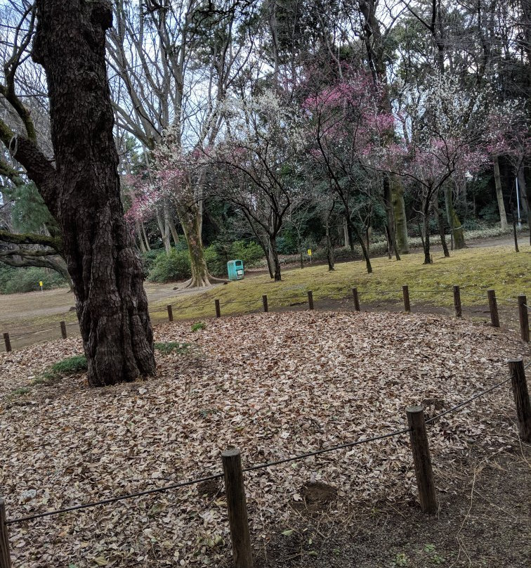 Komabano Park-目黒区必去景点