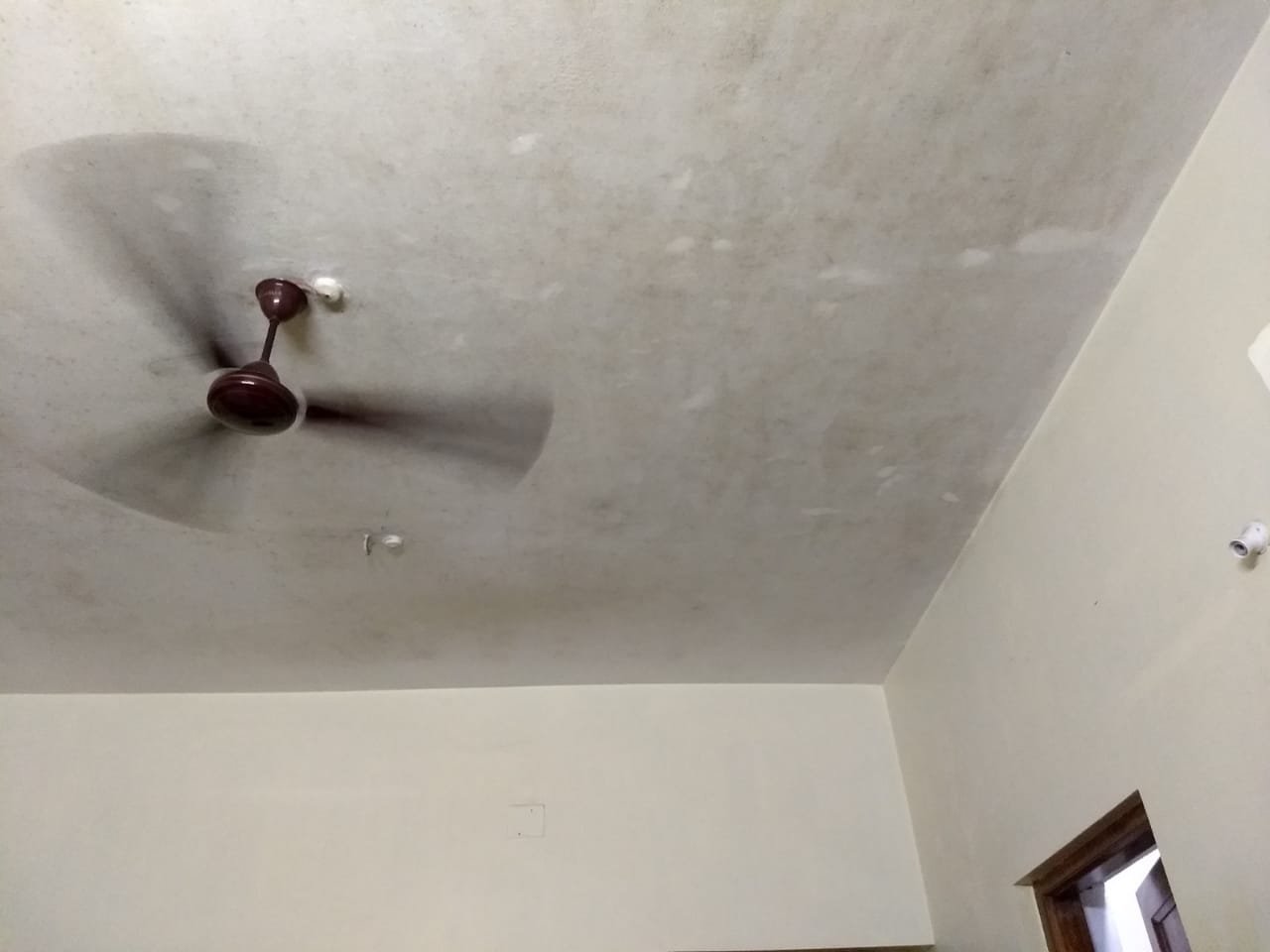 OYO 3121 Odisha Stays-官方