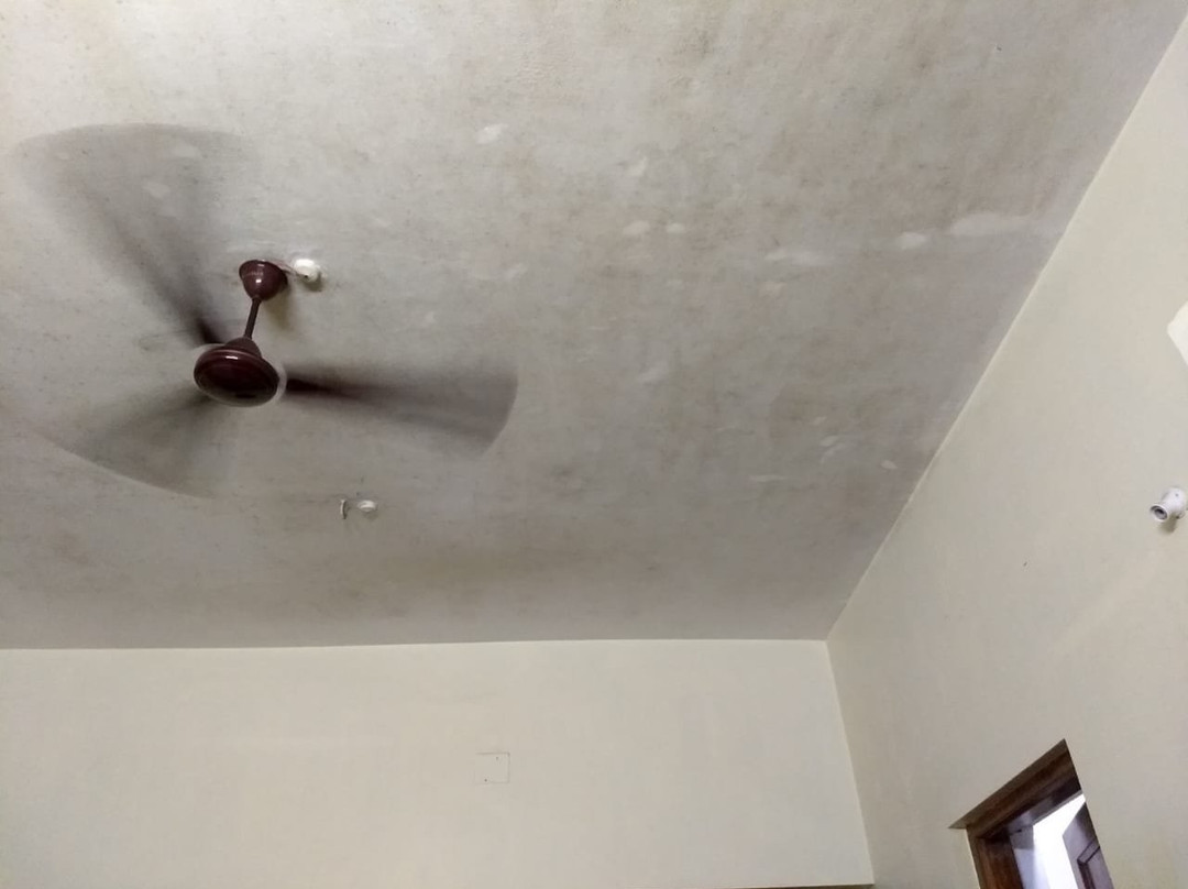 OYO 3121 Odisha Stays主图