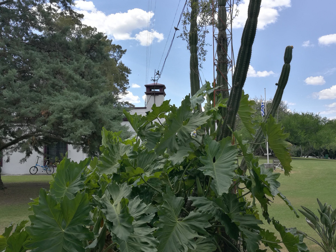 Embarcadero de Yates Riachuelo Park-科洛尼亚·德尔萨克拉门托城必去景点
