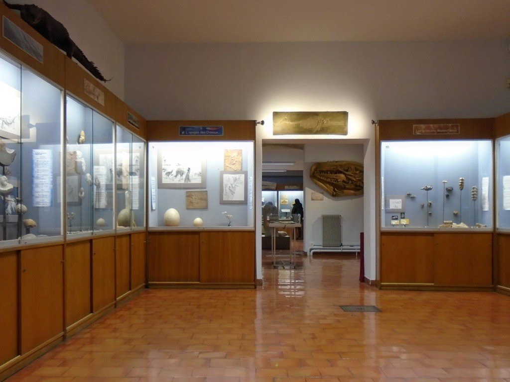 Muséum Requien景点图片