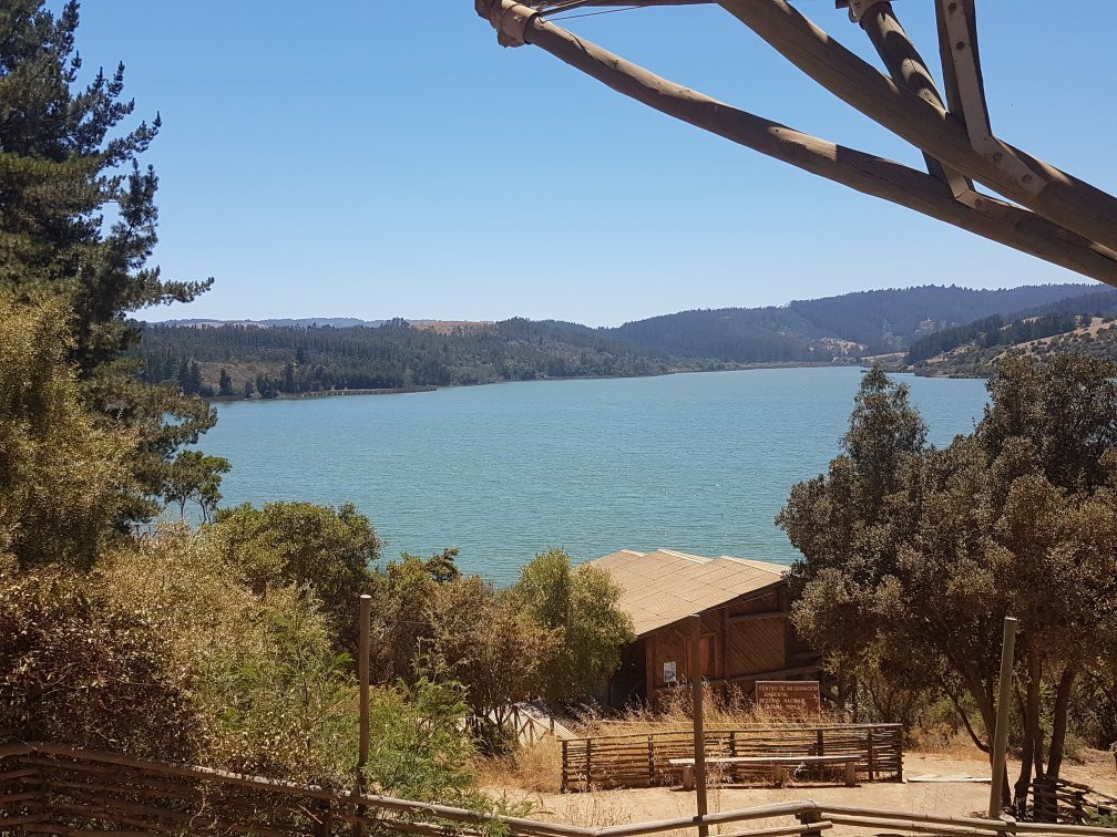 Reserva Nacional Laguna Torca-Llico必去景点