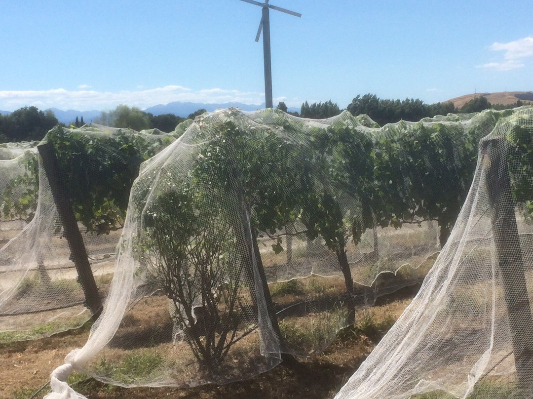 Vynfields-马丁堡必去景点