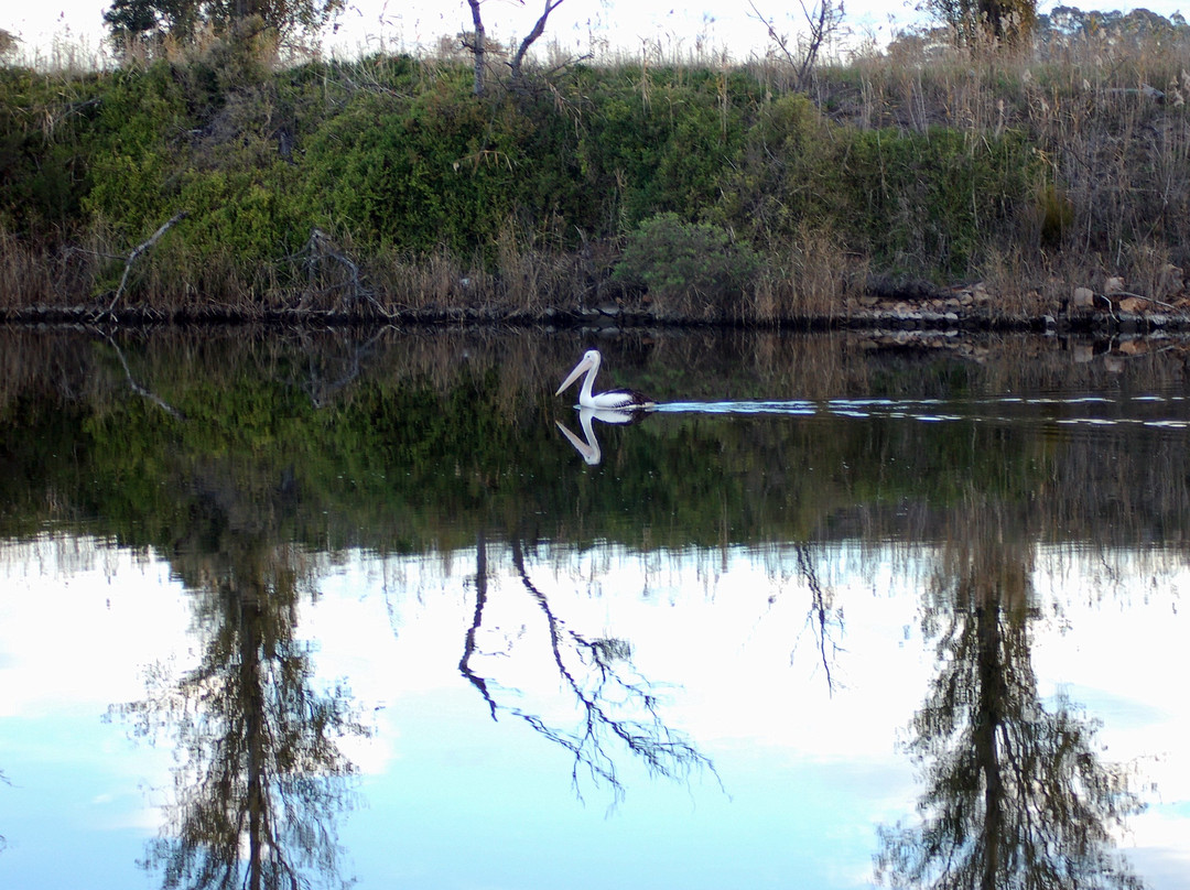 Mitchell river walk景点图片