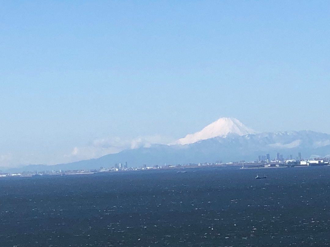 幕张新大谷酒店主图