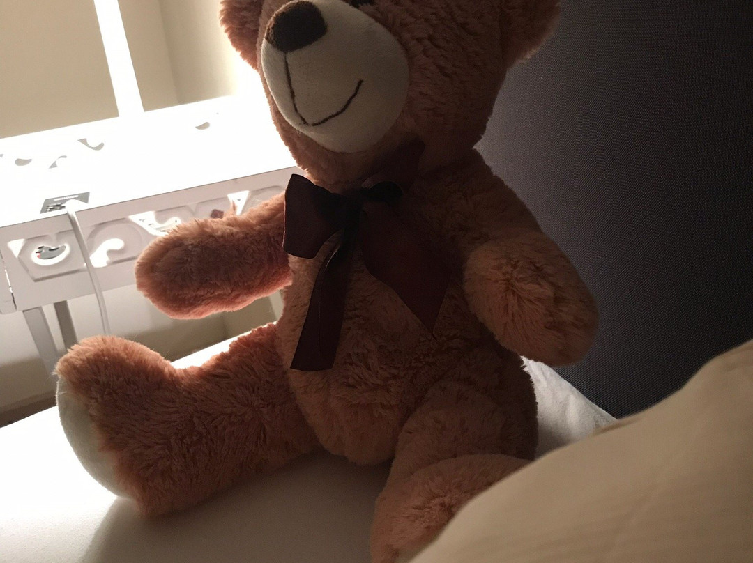 Hotel Garni Zum Grunen Baum主图