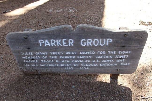 The Parker Group景点图片