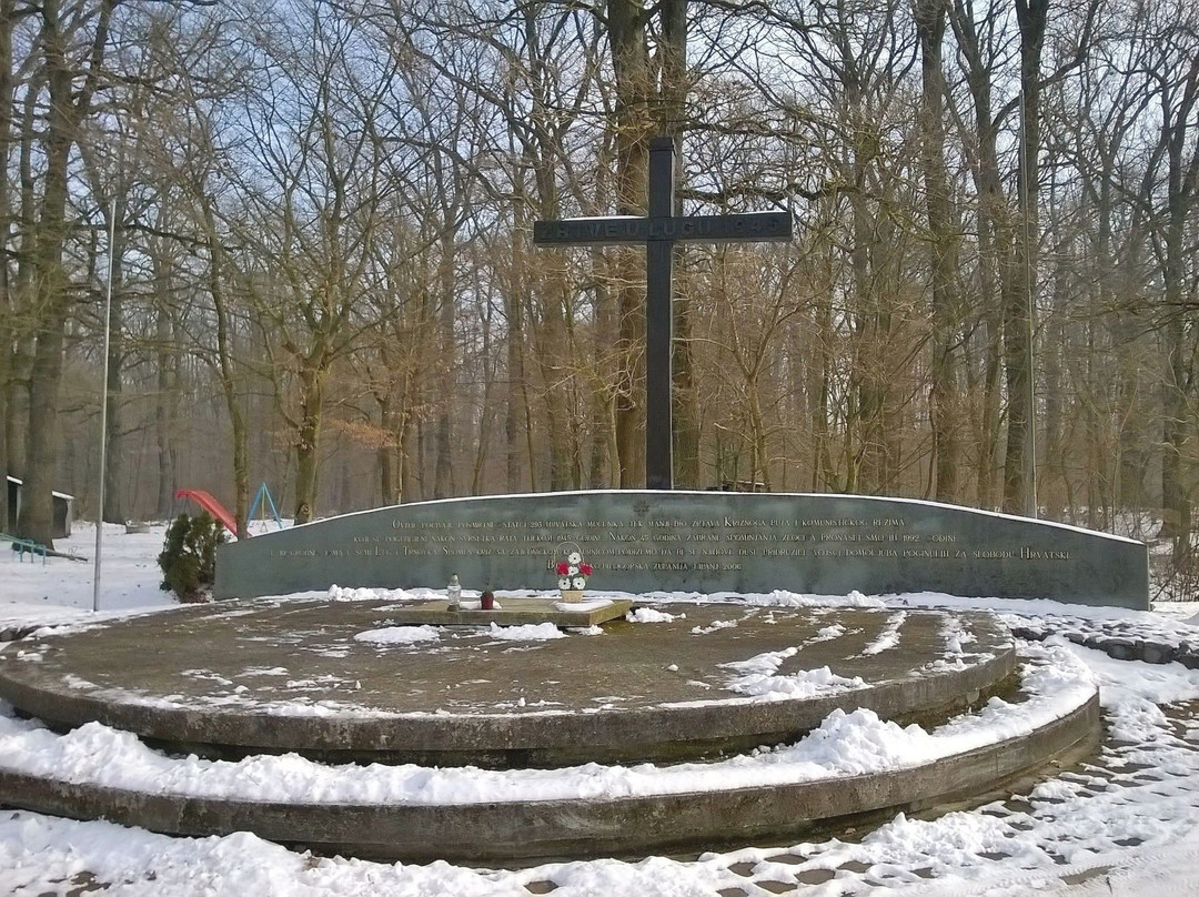 A Monument in the Lug Forest景点图片