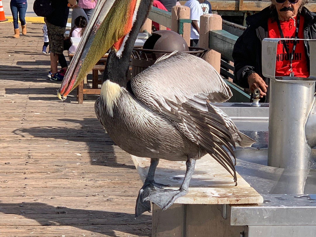 Redondo Beach Pier景点图片