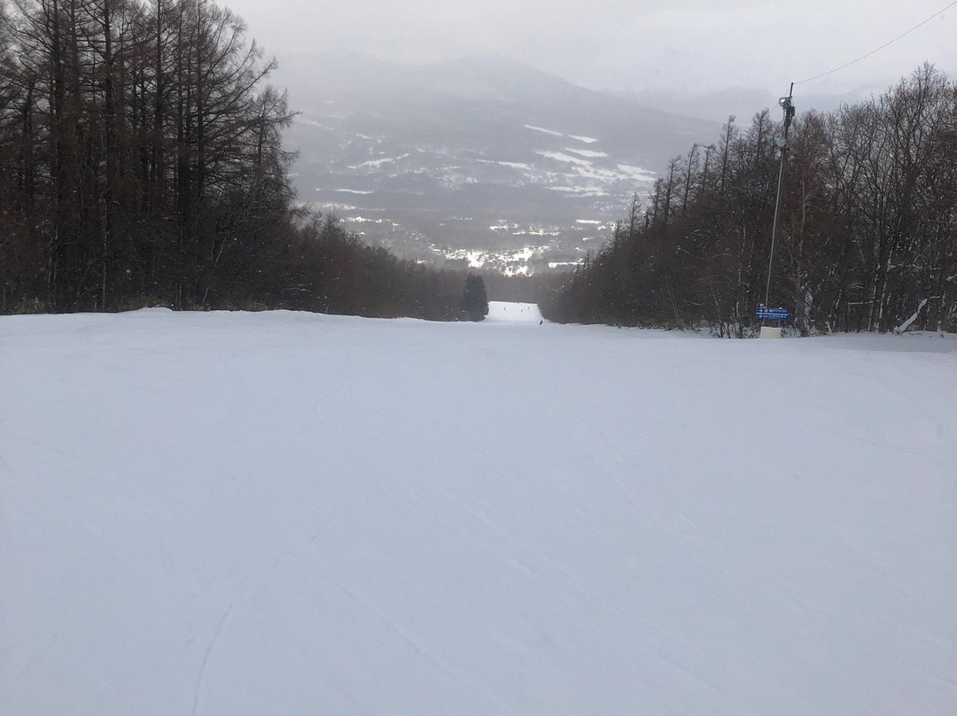 Hachimantai Resort Shimokura Ski Area景点图片