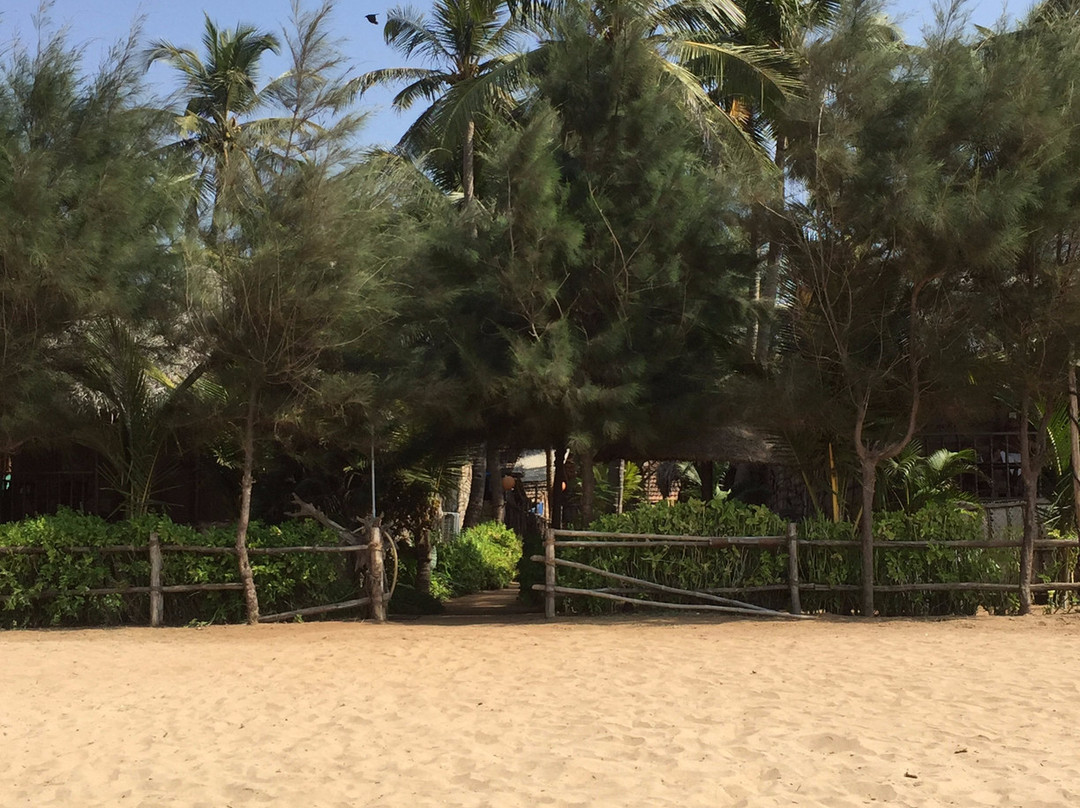 阿贡达海滩景点图片