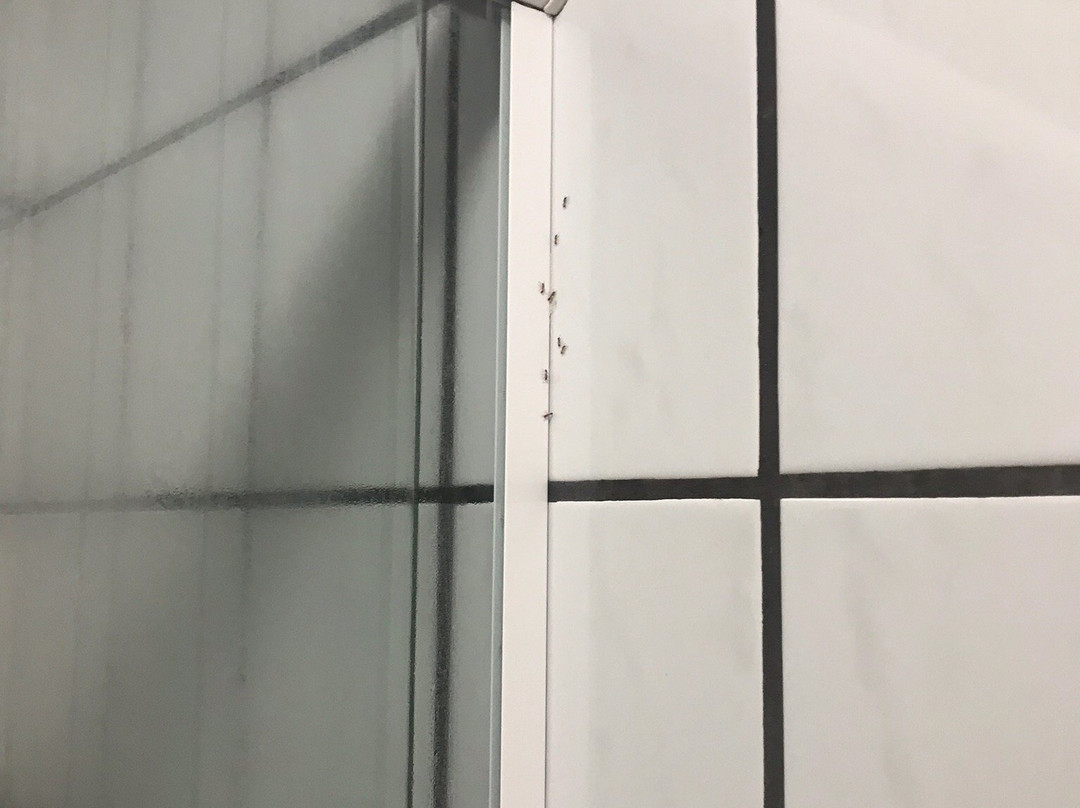 Pousada Vento Forte主图