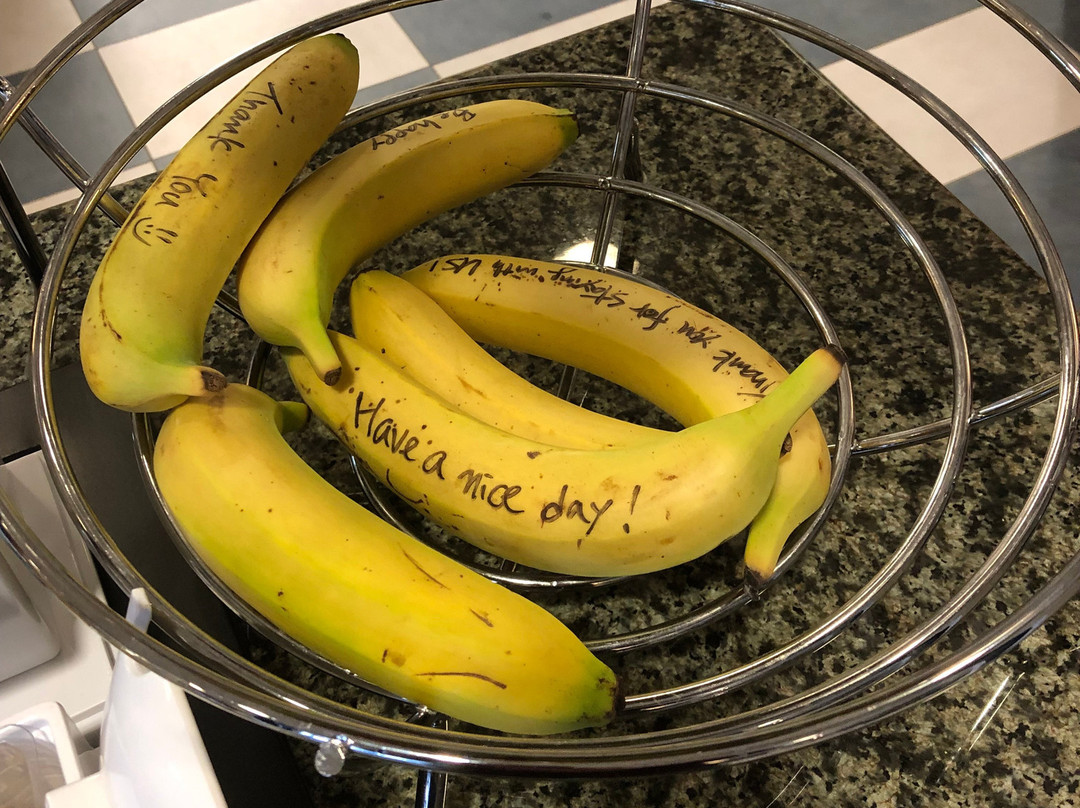 Hampton Inn Sayre主图