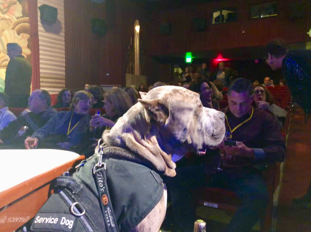 Orinda Theatre-Orinda必去景点