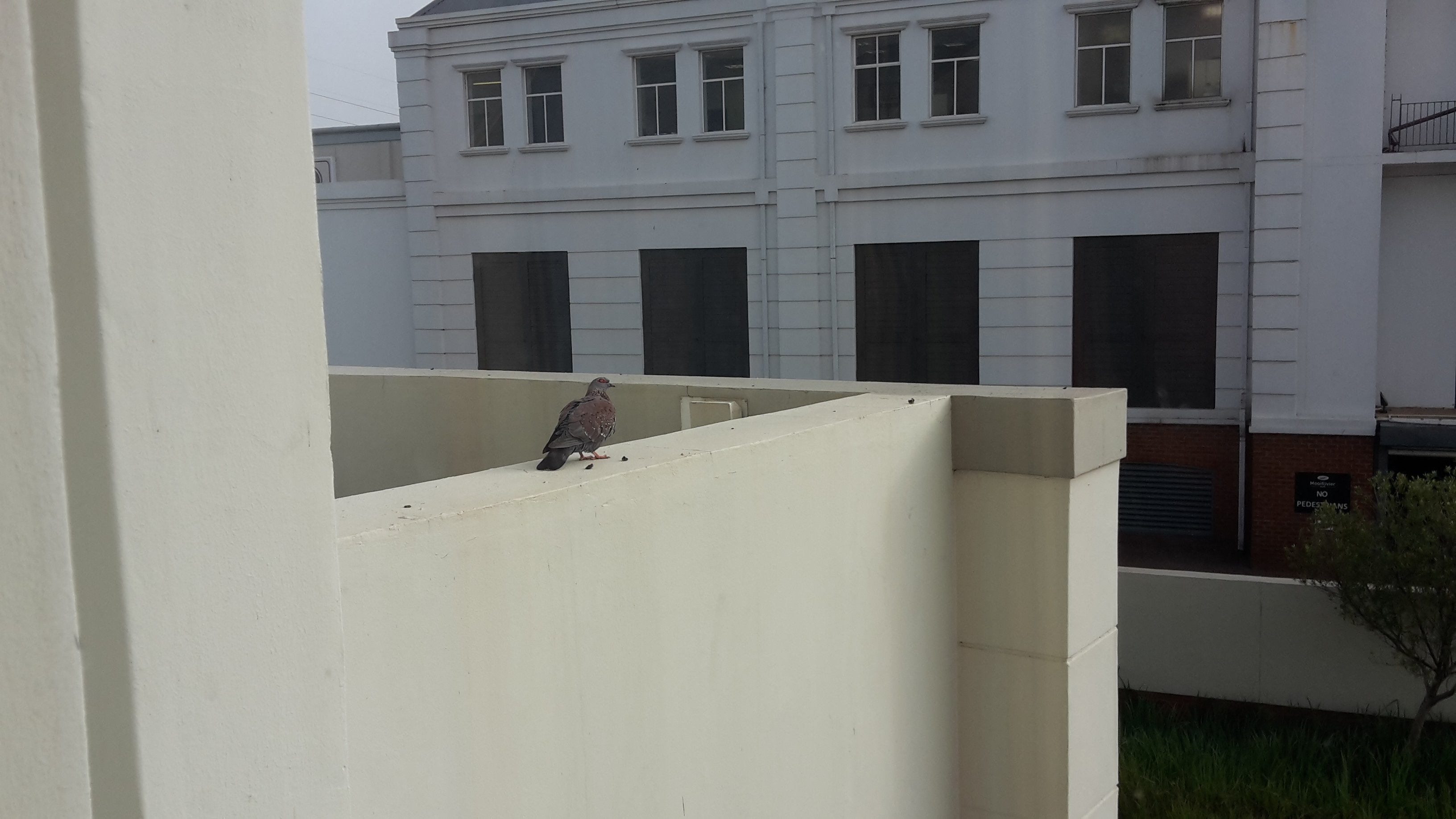 Road Lodge Potchefstroom-官方
