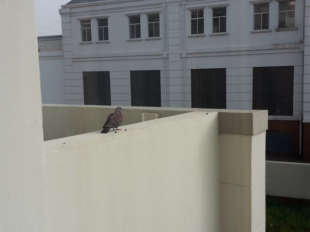 Road Lodge Potchefstroom主图