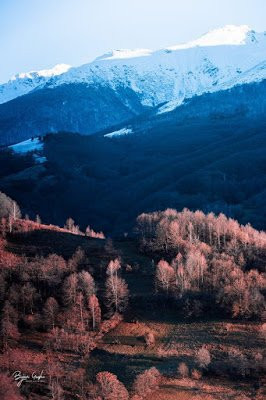 Sharr Mountains National Park景点图片