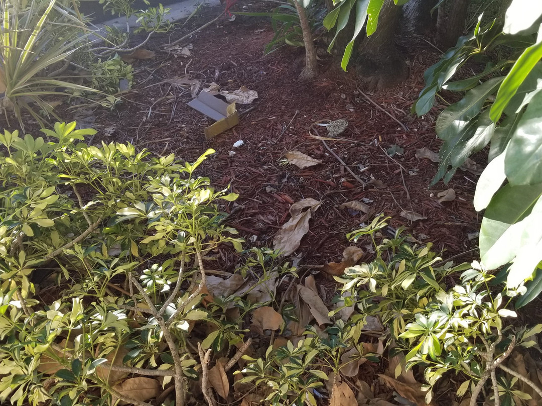 Best Western Lake Okeechobee主图