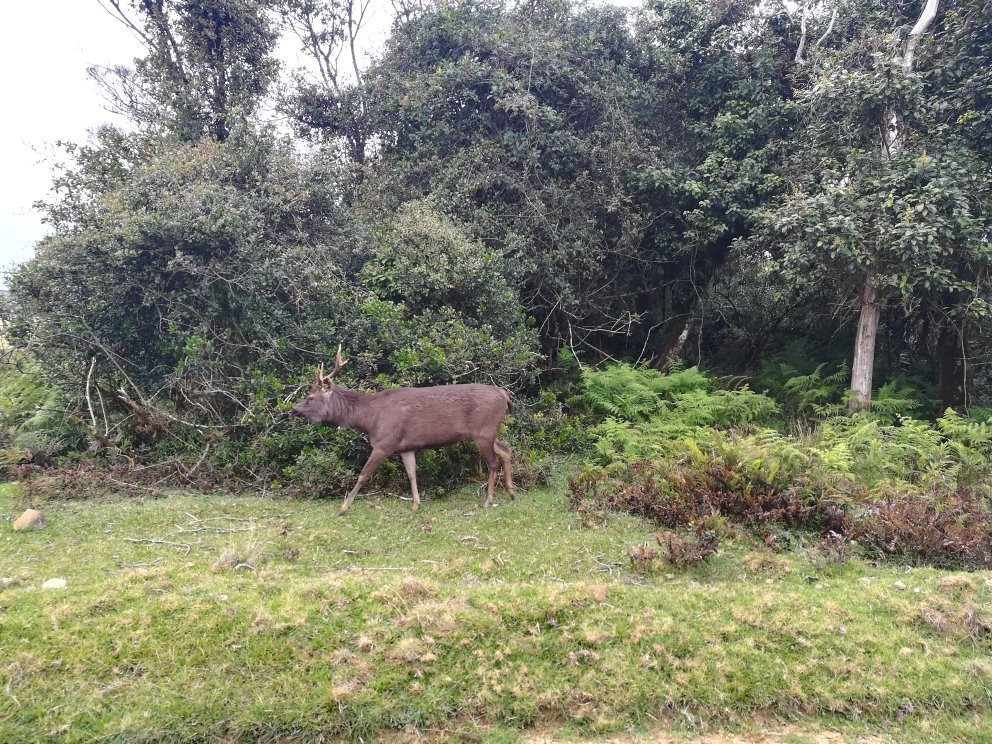 Summer Triangle Leisure-卡卢特勒必去景点