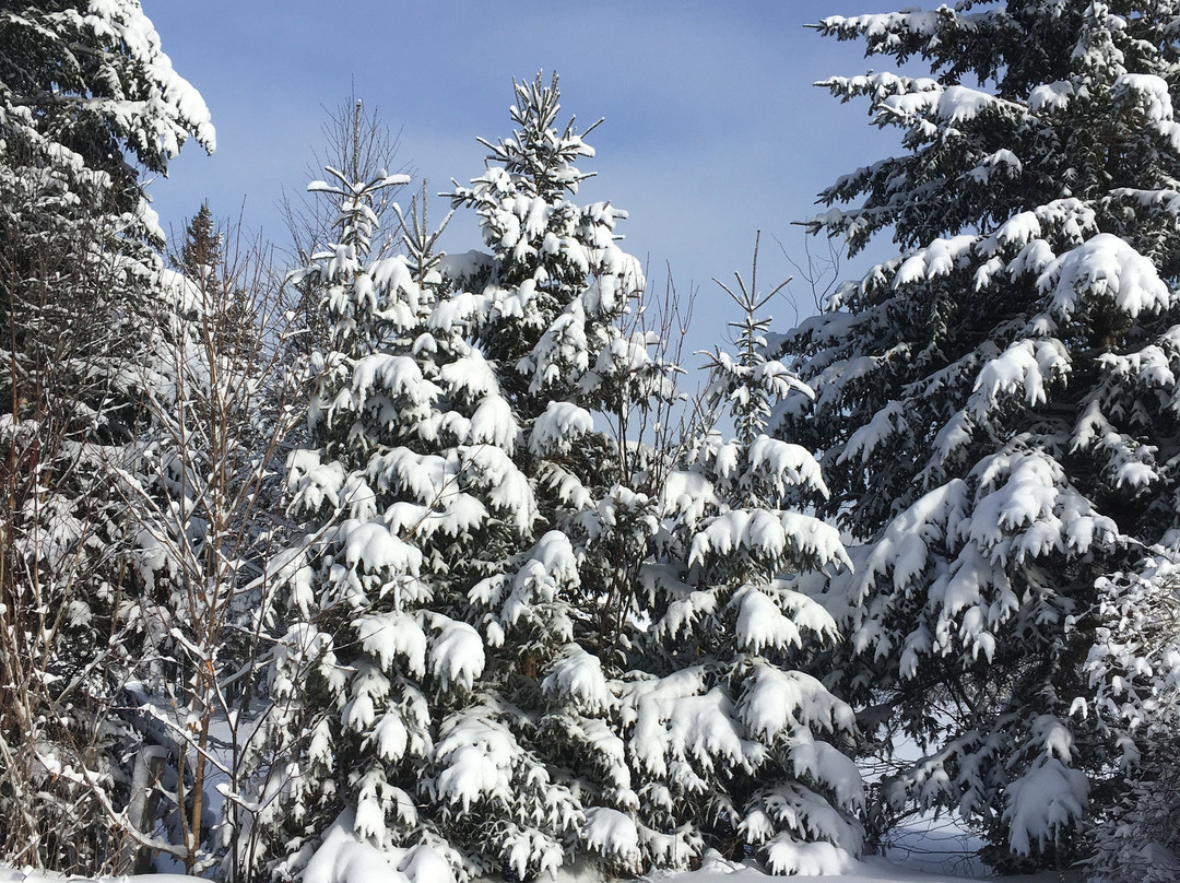 South Meadow Farm Lodge主图