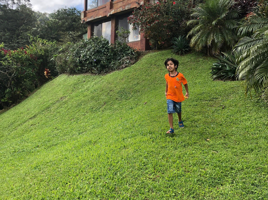 Birdsong Villa主图