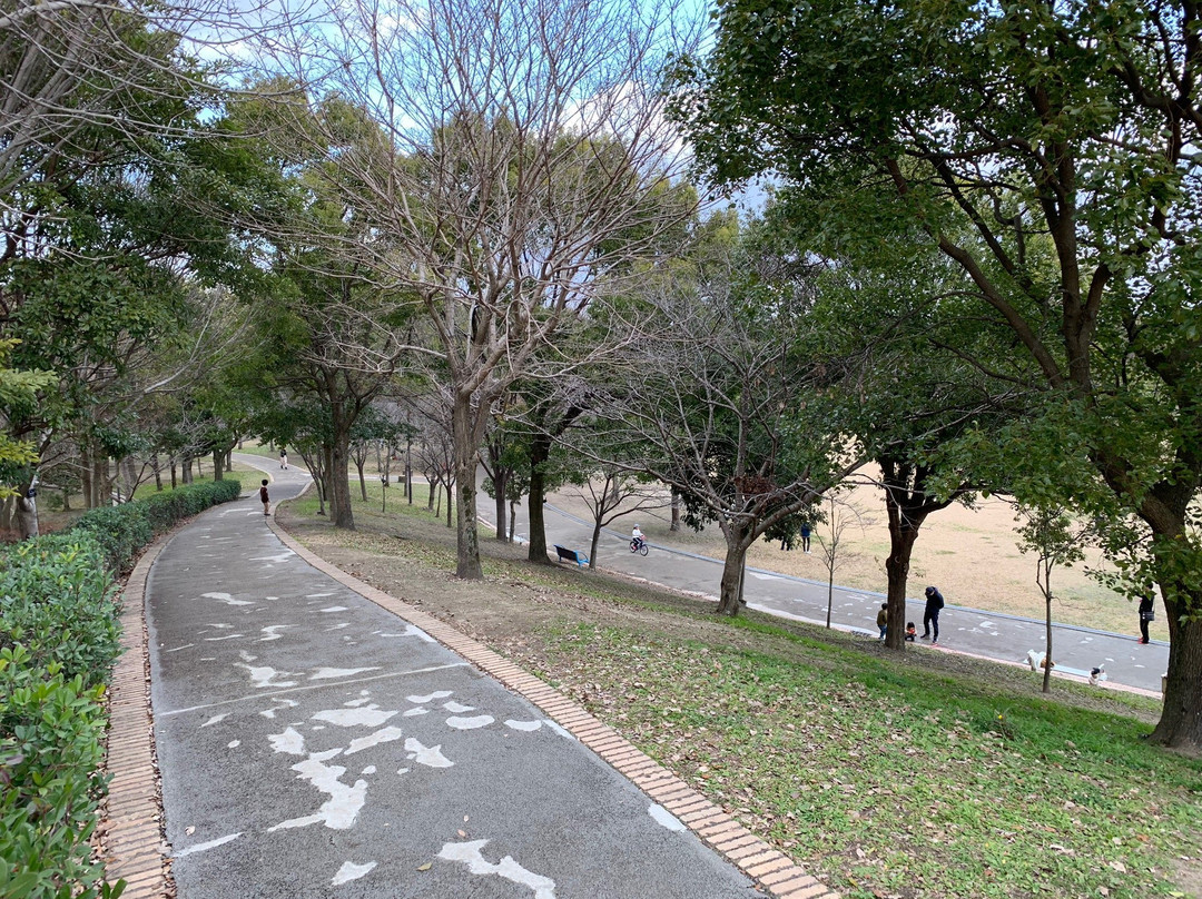 Mizunimanosato Two Thousand Momorial Park景点图片