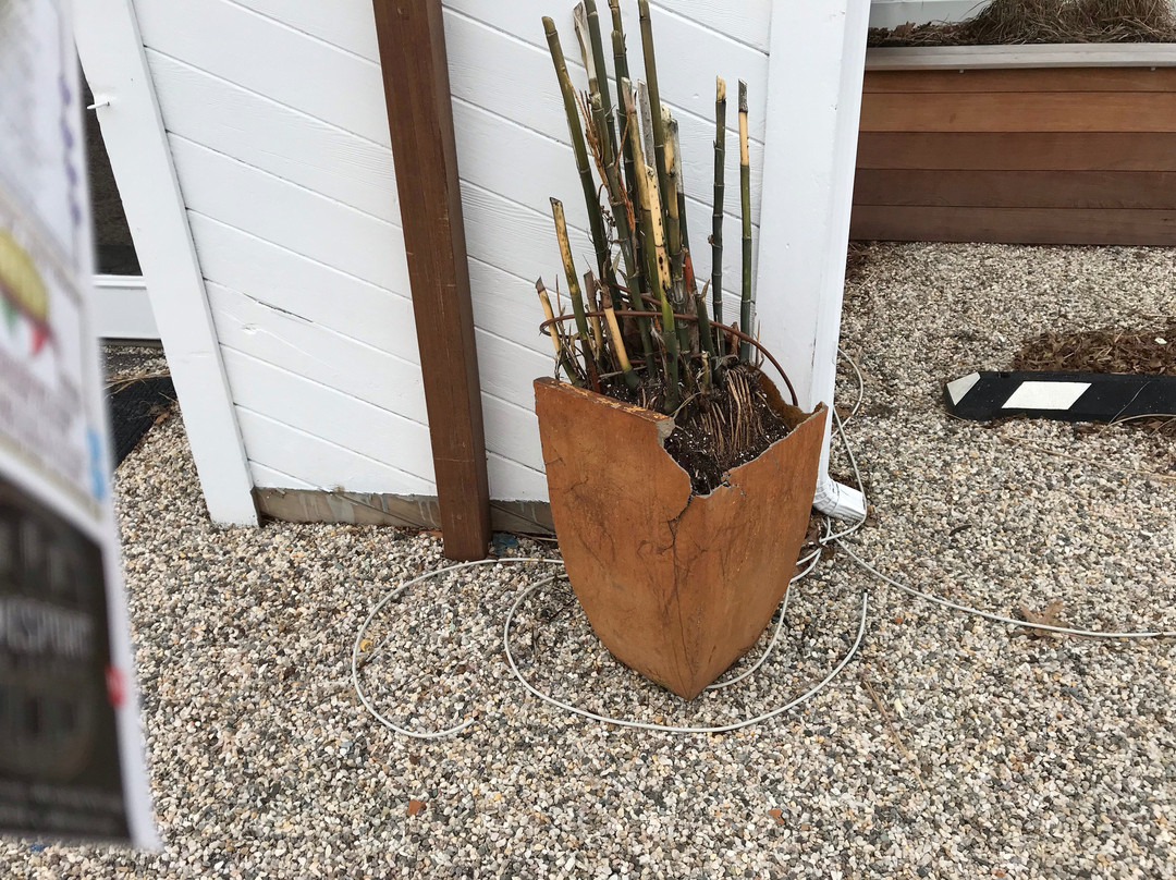 柯维普拉斯酒店主图