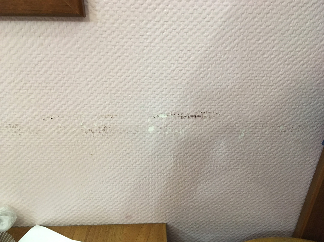 Shelestoff Hotel主图