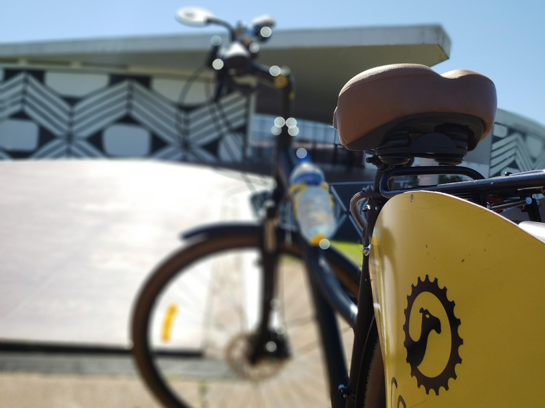 Guia de Brasília Alberto-巴西利亚必去景点