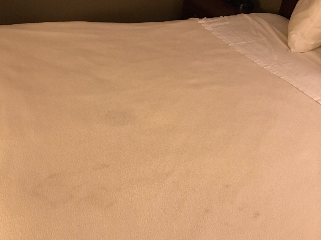 Travelodge by Wyndham Iowa City主图