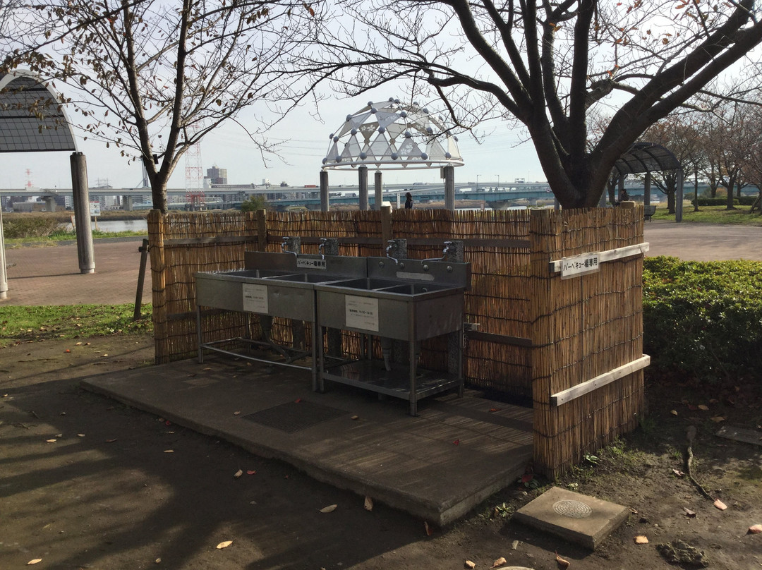 Komatsugawa Sembonzakura-江戸川区必去景点