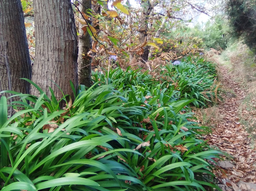 Caminho Real da Encumeada PR12-马德拉群岛必去景点