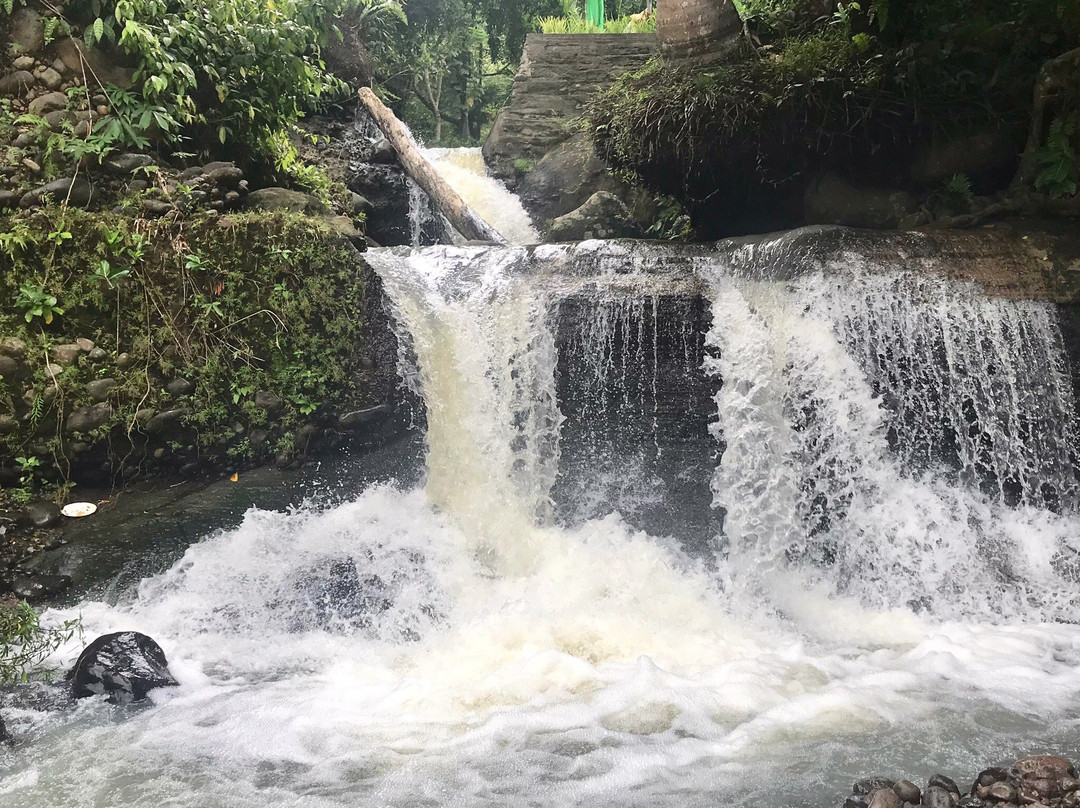 Bali Rice Padi-巴厘岛必去景点