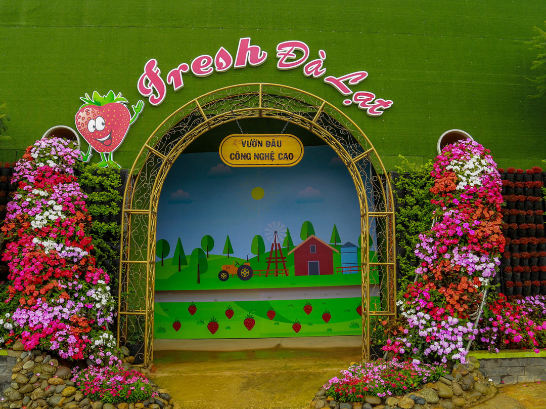 Fresh Garden-大勒必去景点