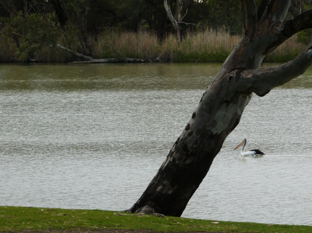 Martin's Bend Reserve景点图片